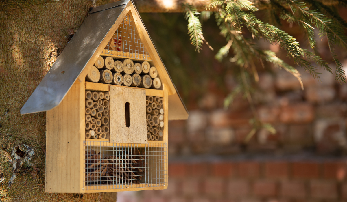 Building an EcoFriendly Insect Hotel A StepbyStep Guide Panda