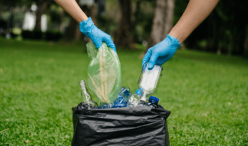 How Biodrying is Transforming Black Bin Waste at Panda